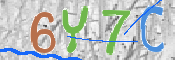 キャプチャ画像