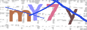 キャプチャ画像